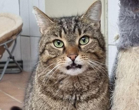 Friedrich, ca. 3 Jahre