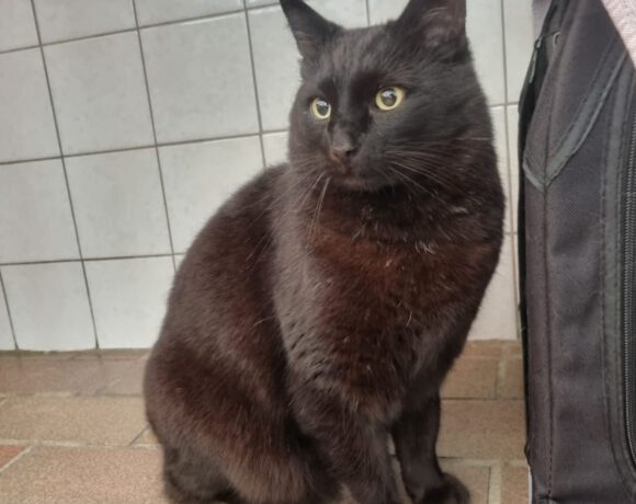 Mr. Keddy, ca. 5 Jahre