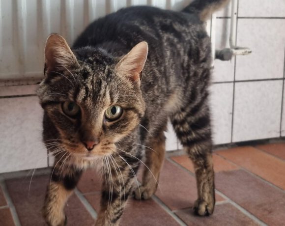 Martha, Ü12 Jahre Martha, Ü12 Jahre