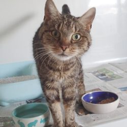 Martha, Ü12 Jahre