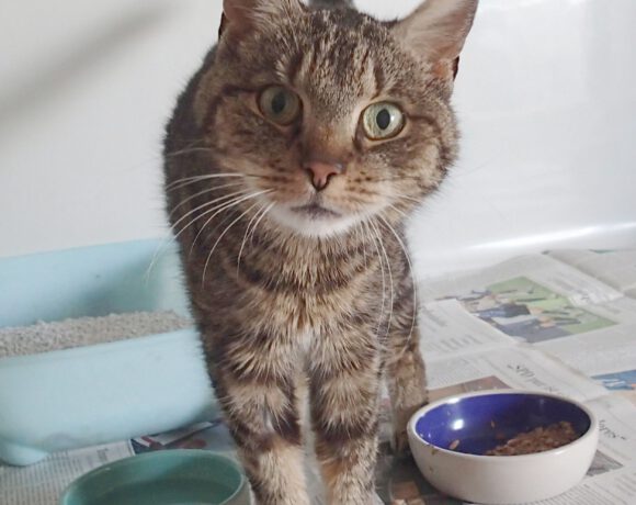 Martha, Ü12 Jahre