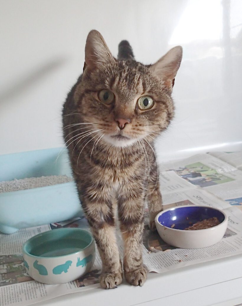 Martha, Ü12 Jahre Martha, Ü12 Jahre