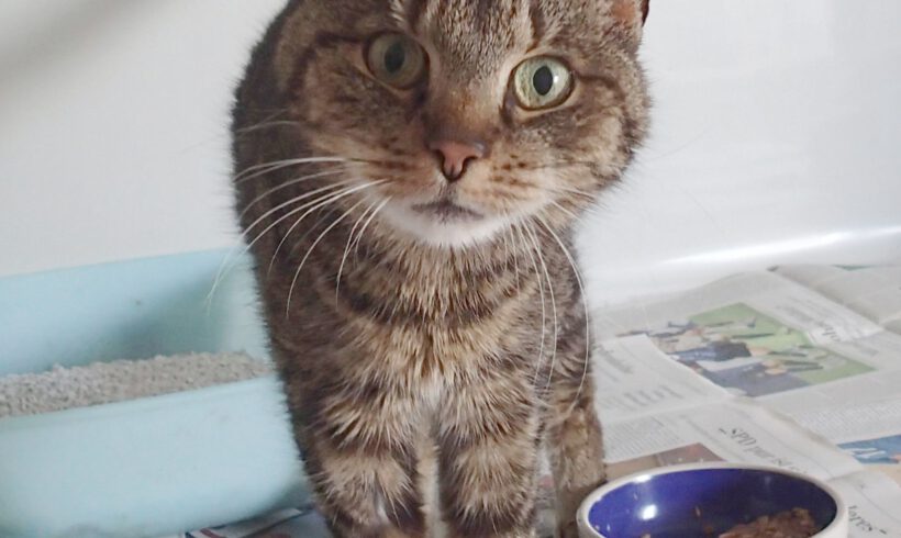Martha, Ü12 Jahre