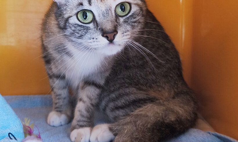 Sunny, ca. 3 Jahre