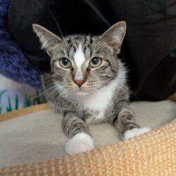 Aramis, ca. 2 Jahre