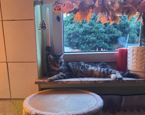 Martha, Ü12 Jahre