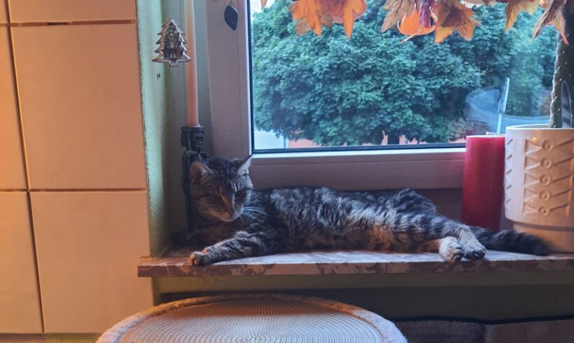 Martha, Ü12 Jahre