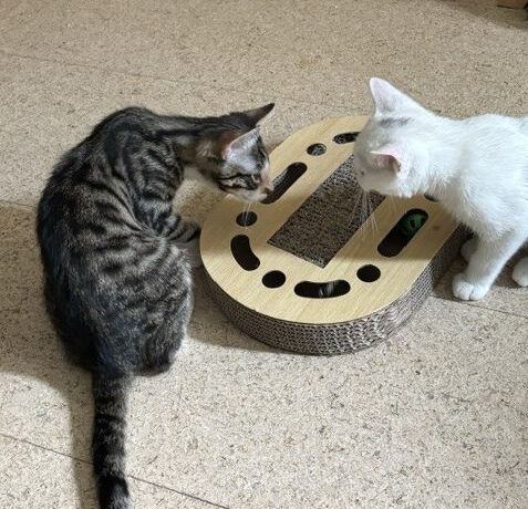 Milky & Perry Milky & Perry