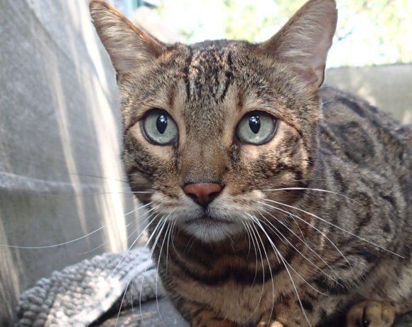 Tutter, 9 Jahre Tutter, 9 Jahre