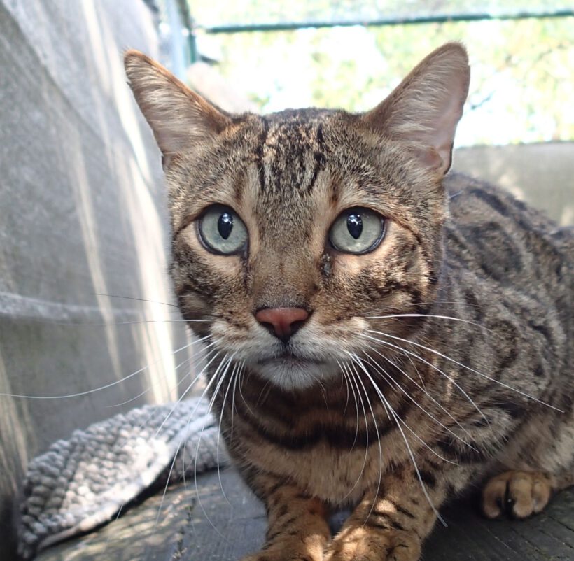 Tutter, 9 Jahre Tutter, 9 Jahre