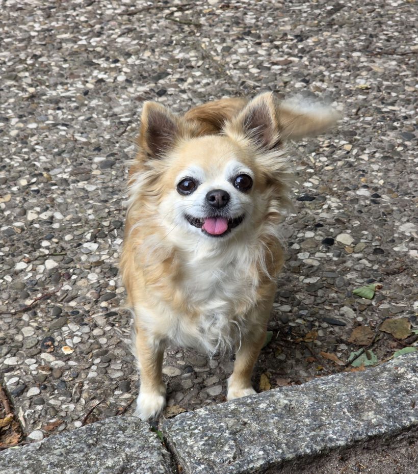 Fifi-Makkaroni Fifi-Makkaroni