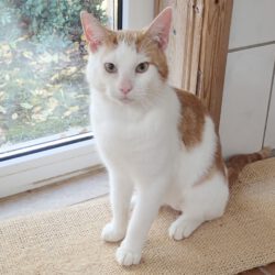 Maris, ca. 1 Jahr
