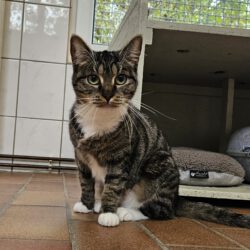 Minna, ca. 3 Jahre