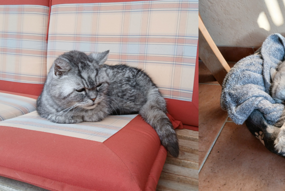 Oskar im Glück Oskar im Glück