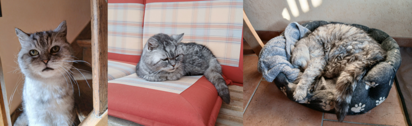 Oskar im Glück Oskar im Glück