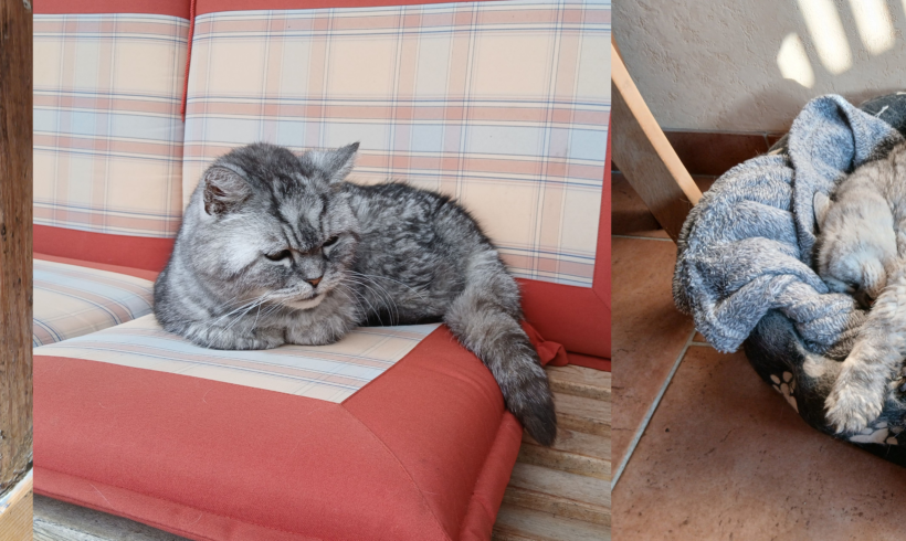 Oskar im Glück Oskar im Glück