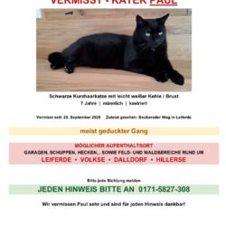 Kater Paul vermisst in Leiferde