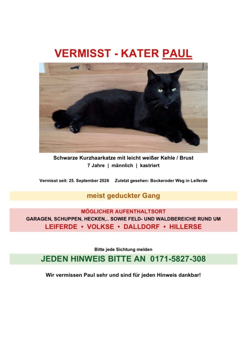 Kater Paul vermisst in Leiferde