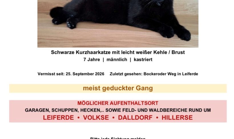 Kater Paul vermisst in Leiferde