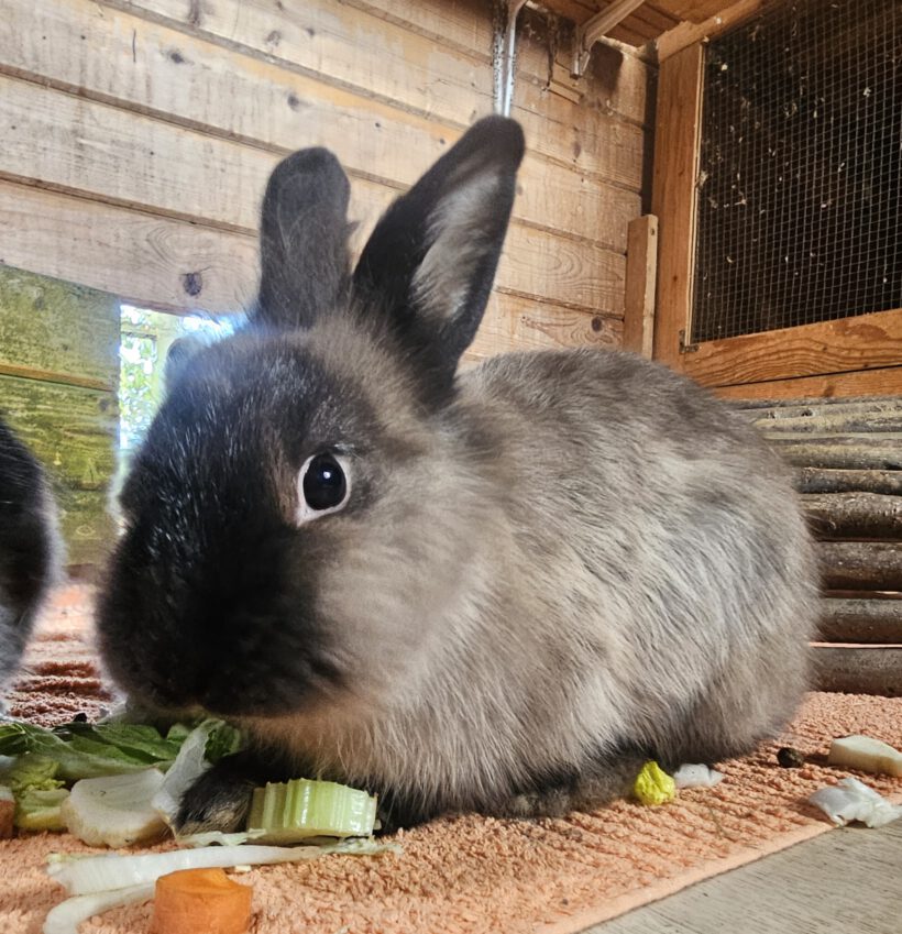 Gretel & Katharina